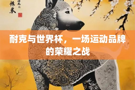 耐克与世界杯，一场运动品牌的荣耀之战眉山市正发家政服务有限公司