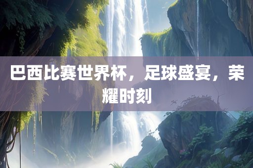 巴西比赛世界杯，足球盛宴，荣耀时刻眉山市正发家政服务有限公司