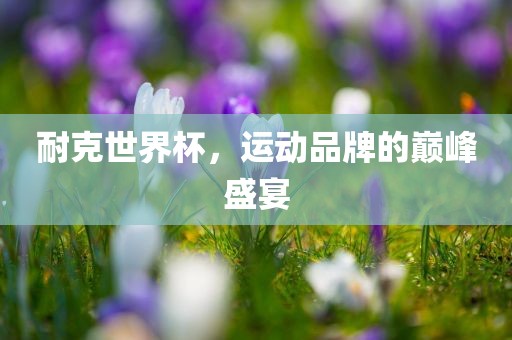 耐克世界杯，运动品牌的巅峰盛宴眉山市正发家政服务有限公司