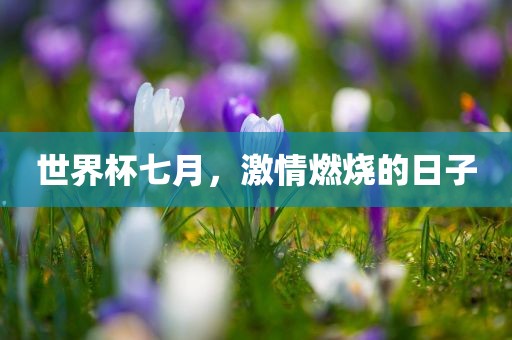 世界杯七月，激情燃烧的日子眉山市正发家政服务有限公司