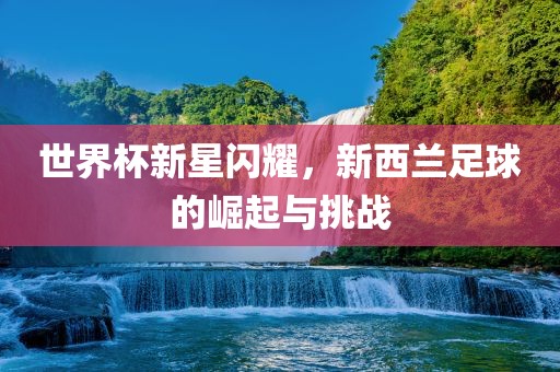世界眉山市正发家政服务有限公司杯新星闪耀，新西兰足球的崛起与挑战
