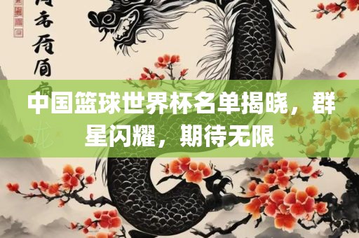 中国篮球世界杯名单揭晓，群星闪耀，期待无限眉山市正发家政服务有限公司