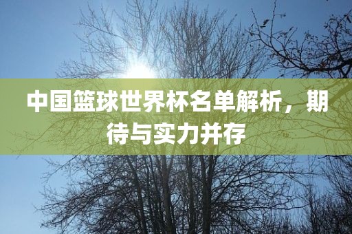 中国篮球世界杯名单解析，期待与实力并存
