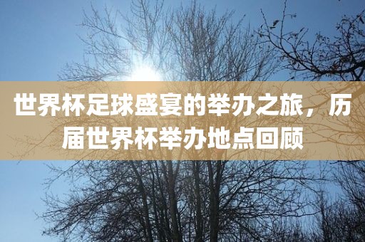 世界杯足球盛宴的举办之旅，历届世界杯举办地点回顾眉山市正发家政服务有限公司
