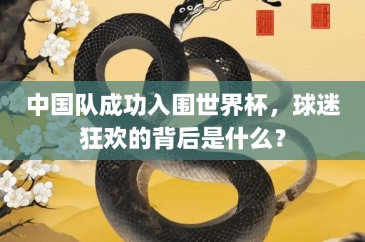 中国队成功入围世界杯，球迷狂欢的背后是什么？