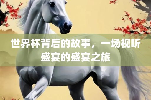 世界杯背后的故事，一场视听盛宴的盛宴之旅