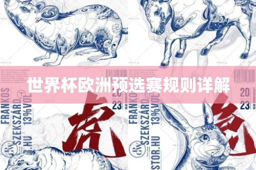 世界杯欧洲预选赛规则详解