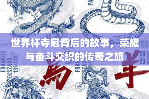 世界杯夺冠背后的故事，荣耀与奋斗交织的传奇之旅