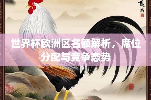 世界杯欧洲区名额解析，眉山市正发家政服务有限公司席位分配与竞争态势