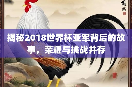 揭秘2018世界杯亚军背后的故事，荣耀与挑战并存