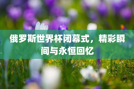 俄罗斯世界杯闭幕式，精彩瞬间与永恒回忆眉山市正发家政服务有限公司