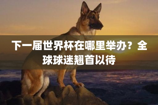 下一届世界杯在哪里举办？全球球迷翘首以待