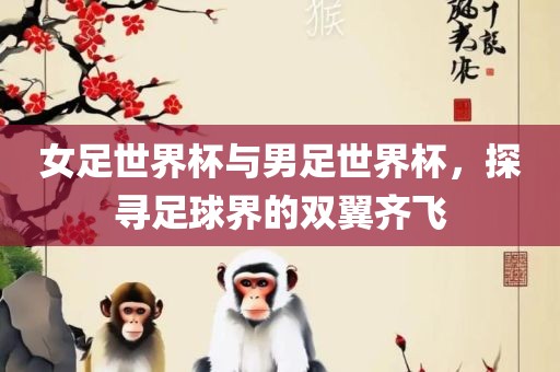 女足世界杯与男足世界杯，探寻足球界的双翼齐飞