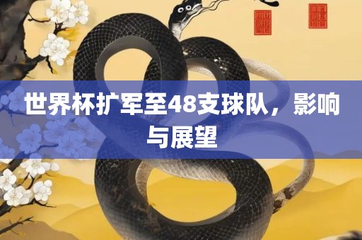 世界杯扩军至48支球队，影响与展望