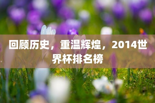 回顾历史，重温辉煌，2014世界杯排名榜