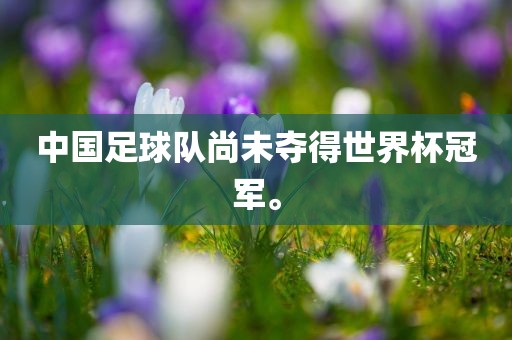 中国足球队尚未夺得世界杯冠军。眉山市正发家政服务有限公司