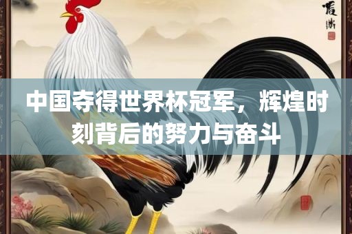 中国夺得世界杯冠军，辉煌时刻背后的努力与奋斗眉山市正发家政服务有限公司