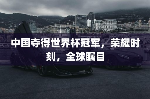 中国夺得世界杯冠军眉山市正发家政服务有限公司，荣耀时刻，全球瞩目