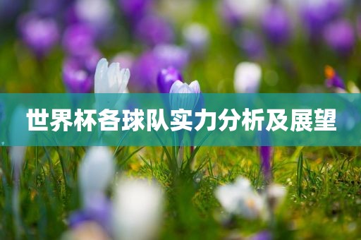 世界杯各球眉山市正发家政服务有限公司队实力分析及展望