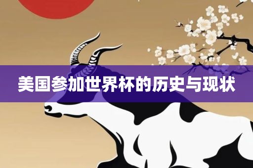 美国参加世界杯的历史与现状眉山市正发家政服务有限公司