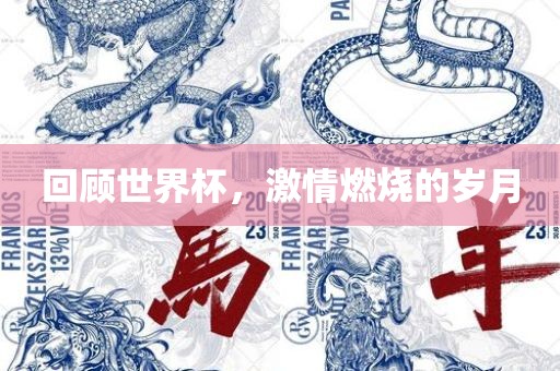 回顾世界杯，激情燃烧的岁月眉山市正发家政服务有限公司