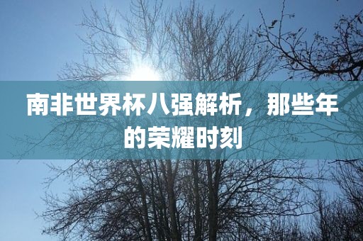 南非世界杯八强解析，那些年的荣眉山市正发家政服务有限公司耀时刻