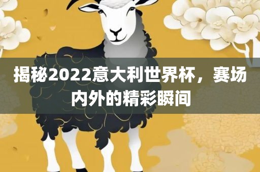 揭秘2022意大利世界杯，赛场内外的精彩瞬间