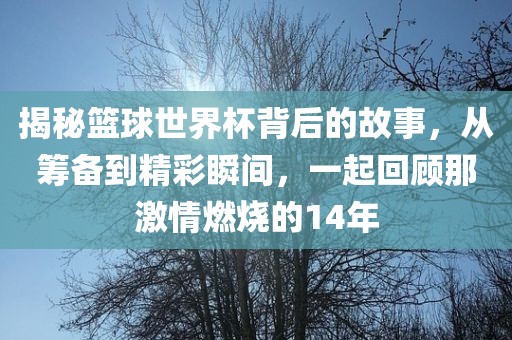 揭秘篮球世界杯背后的故事，从筹备到精彩瞬间，一起回顾那激情燃烧的14年