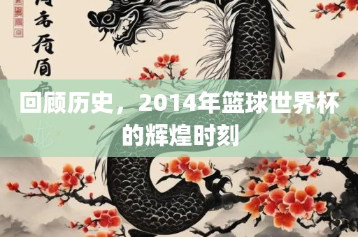 回顾历史，2014年篮球世界杯的辉煌时刻眉山市正发家政服务有限公司