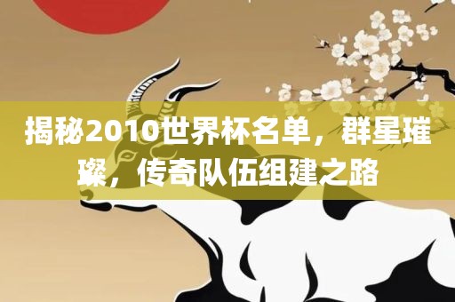 揭秘2010世界杯名单，群星璀璨，传奇队伍组建之路