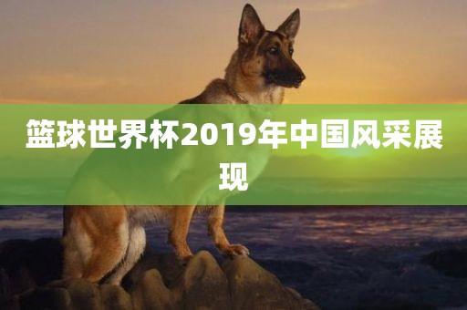 篮球世界杯2019年中国风采展现
