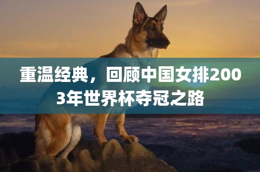 重温经典，回顾中国女排2003年世界杯夺冠之路眉山市正发家政服务有限公司