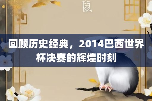 回顾历史经典，2014巴西世界杯决赛的辉煌时刻