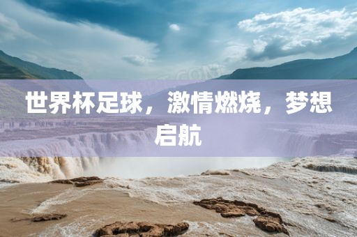 世界杯足球，激情燃烧，梦想启航眉山市正发家政服务有限公司