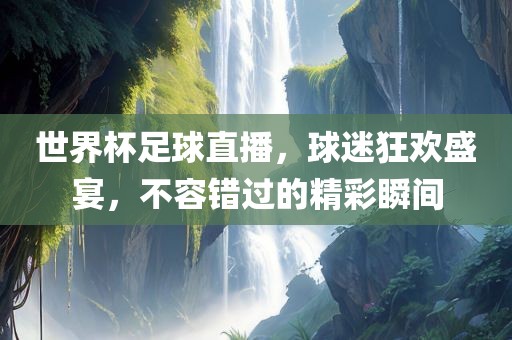 世界杯足球直播，球迷狂欢盛宴，不容错过的精眉山市正发家政服务有限公司彩瞬间