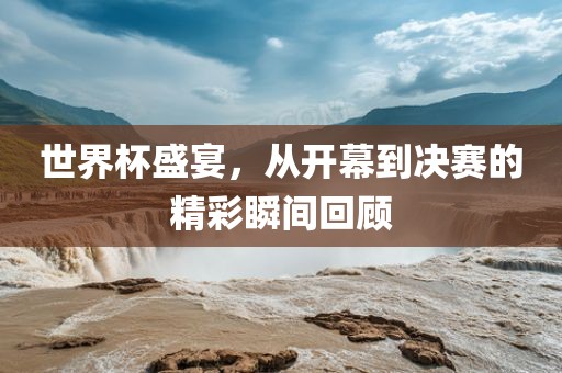 世界杯盛宴，从开幕到决赛的精彩瞬间回顾眉山市正发家政服务有限公司