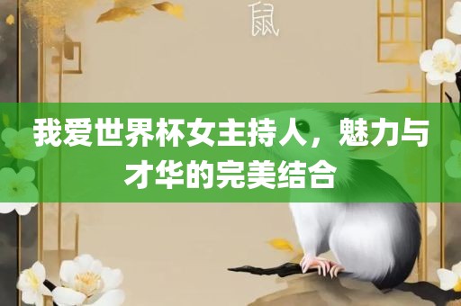 我爱世界杯女主持人，魅力与才华的完美结合