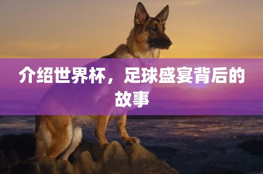 介绍世界杯，足球盛宴背后的故事