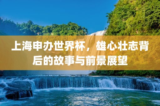 上海申办世界杯，雄心壮志背后的故事与前景展望