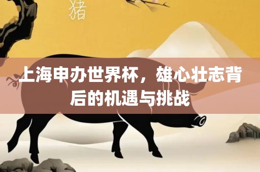上海申办世界杯，雄心壮志背后的机遇与挑战