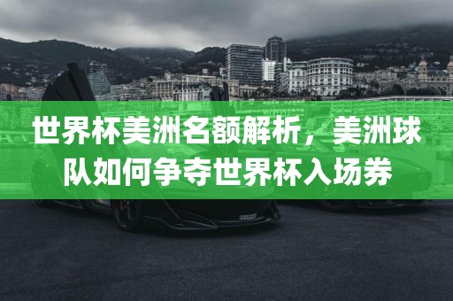 世界杯美洲名额解析，美洲球队如何争夺世界杯入场券