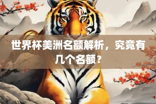 世界杯美洲名额解析，究竟有几个名额？眉山市正发家政服务有限公司