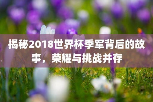 揭秘2018世界杯季军背后的故事，荣耀与挑战并存眉山市正发家政服务有限公司