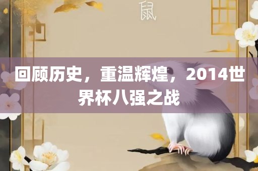 回顾历史，重温辉煌，2014世界杯八强之战