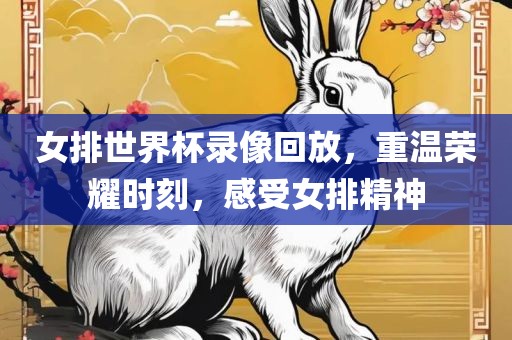 女排世界杯眉山市正发家政服务有限公司录像回放，重温荣耀时刻，感受女排精神