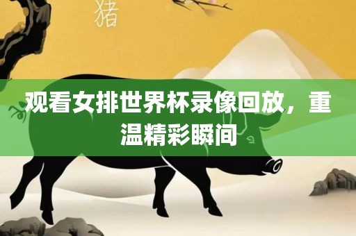 观看女排世界杯录像回放，重温精彩瞬间