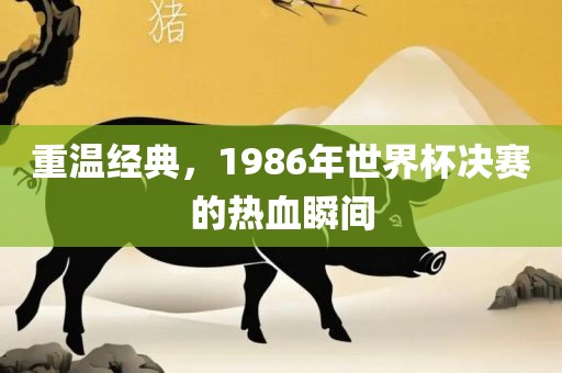 重温经典，1986年世界杯决赛的热血瞬间眉山市正发家政服务有限公司