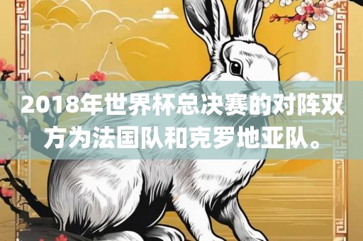 2018年世界杯总决赛的对阵双方为法国队和克罗地亚队。