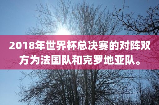 2018年世界杯总决赛的对阵双方为法国队和克罗地亚队。