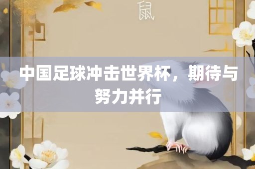 中国足球冲击世界杯，期待与努力并行眉山市正发家政服务有限公司